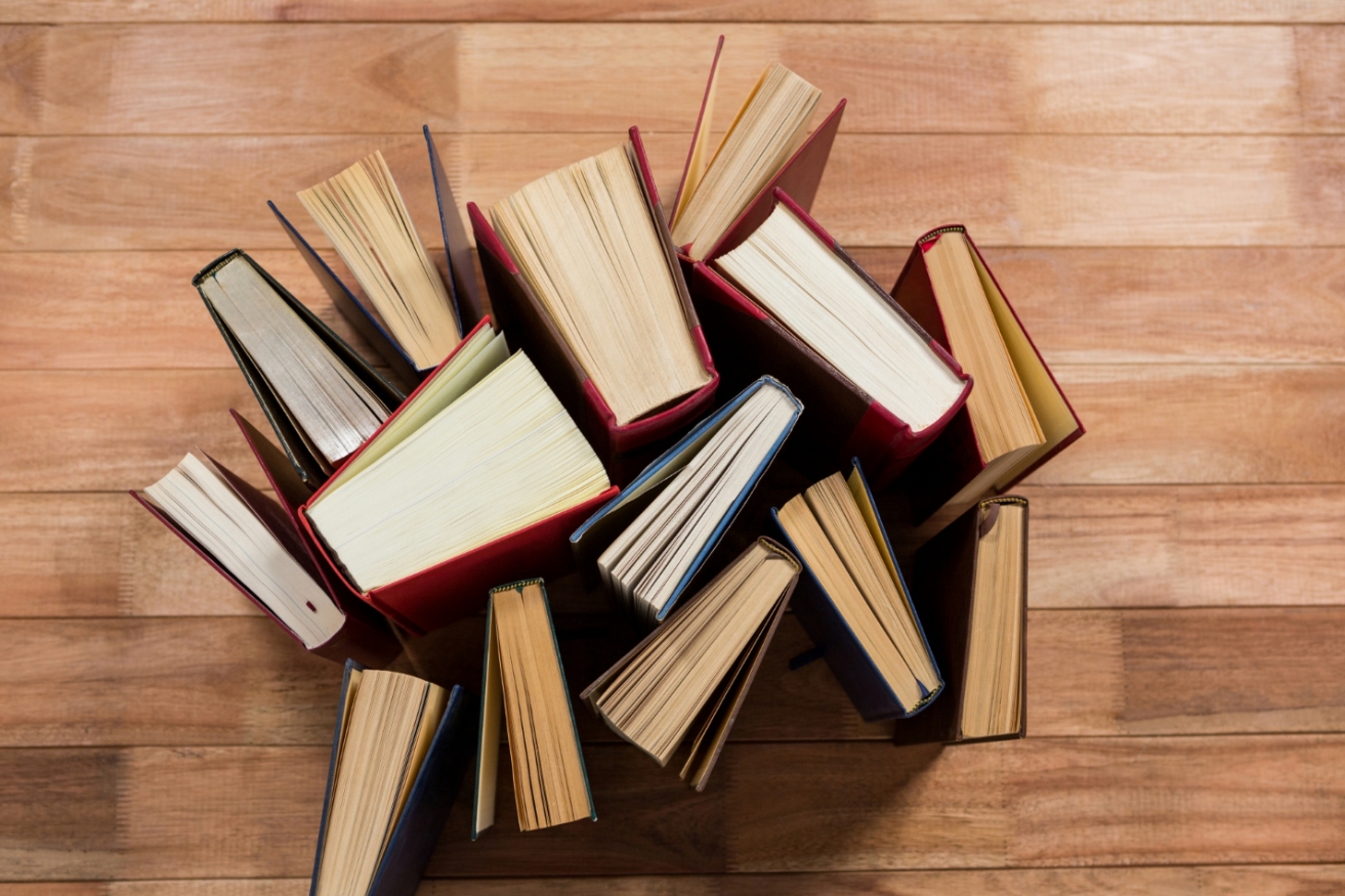 Plenerowe biblioteczki w Świdnicy