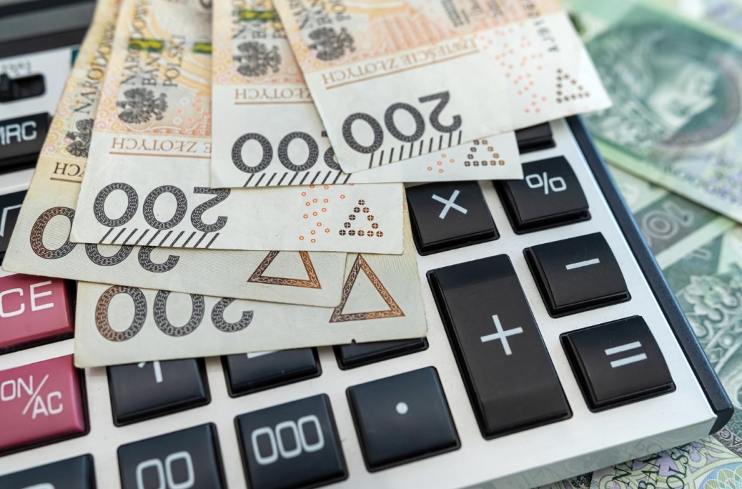 Reaktywacja budżetu obywatelskiego w Dzierżoniowie z akcentem na ekologię