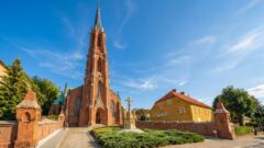 Terminy polowań zbiorowych w sezonie 2026/2027